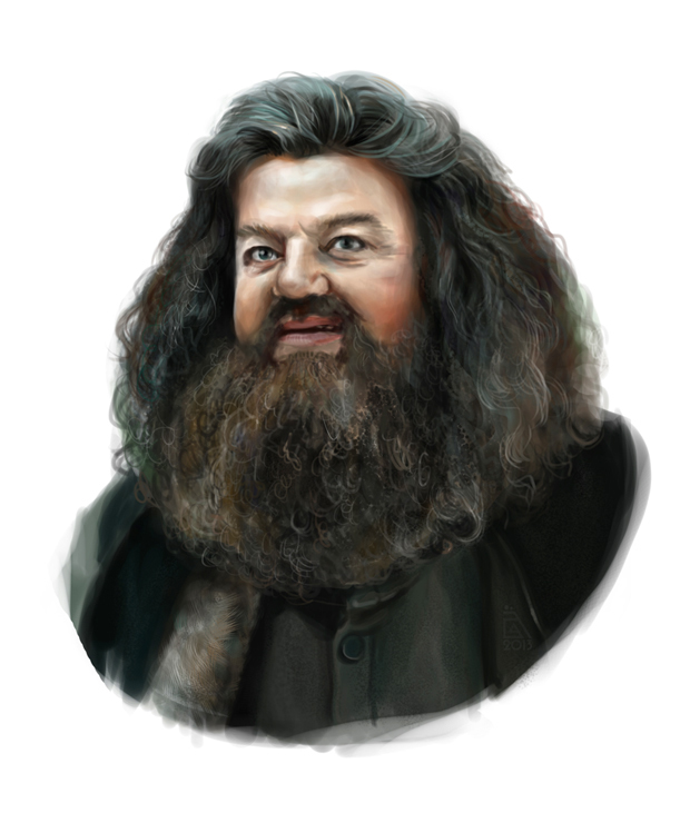 rubeus hagrid zauberstab